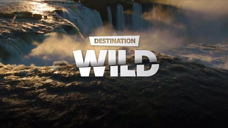 Show Destination Wild