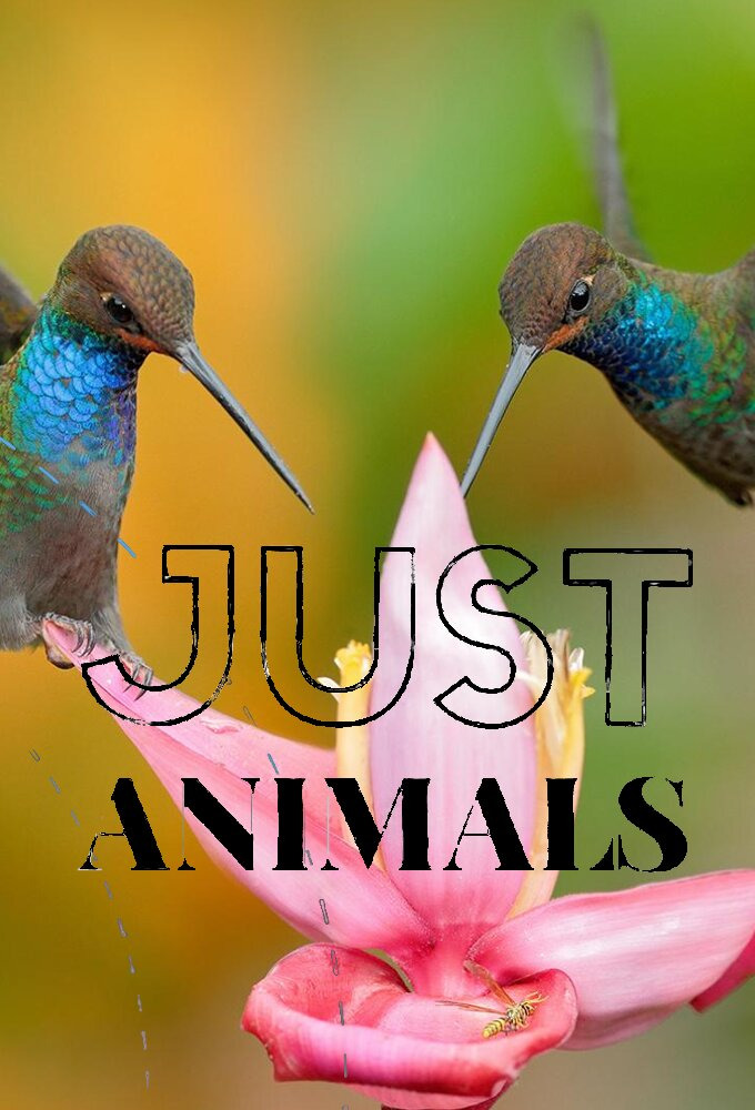 Сериал Just Animals