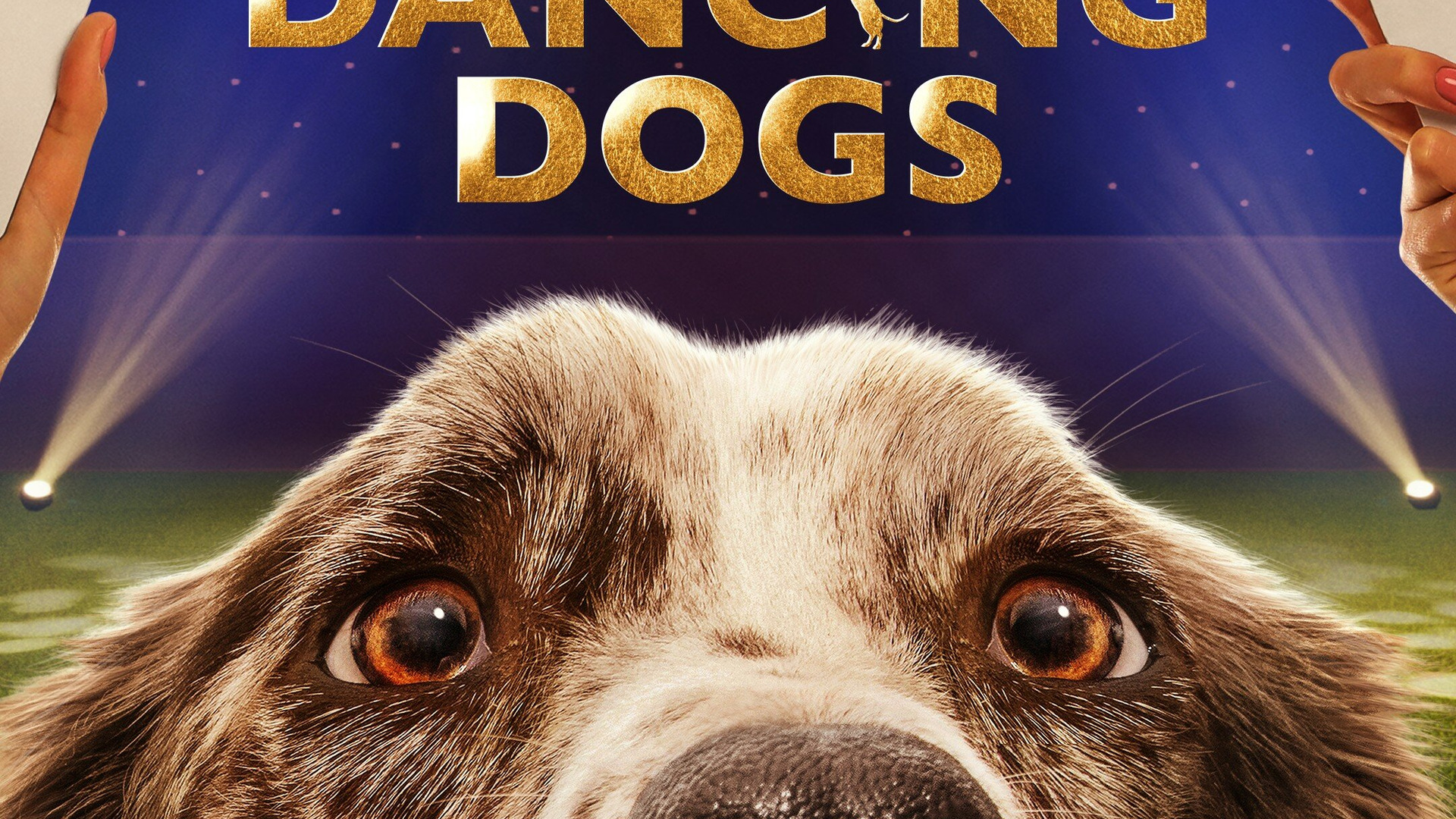 Show The Secret Life of Dancing Dogs