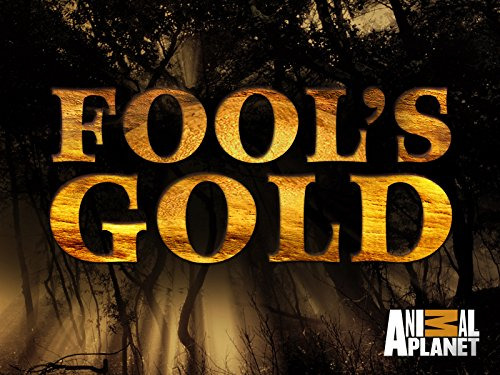 Show Fools Gold