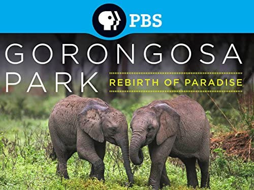 Show Gorongosa Park: Rebirth of Paradise