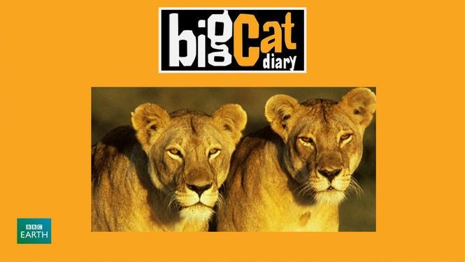 Сериал BBC: Дневник большой кошки	