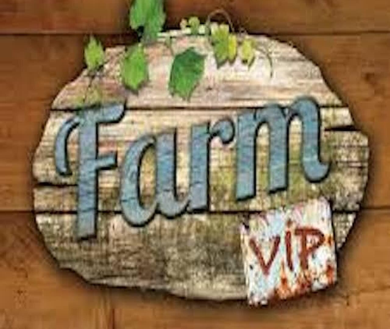 Сериал Farm VIP