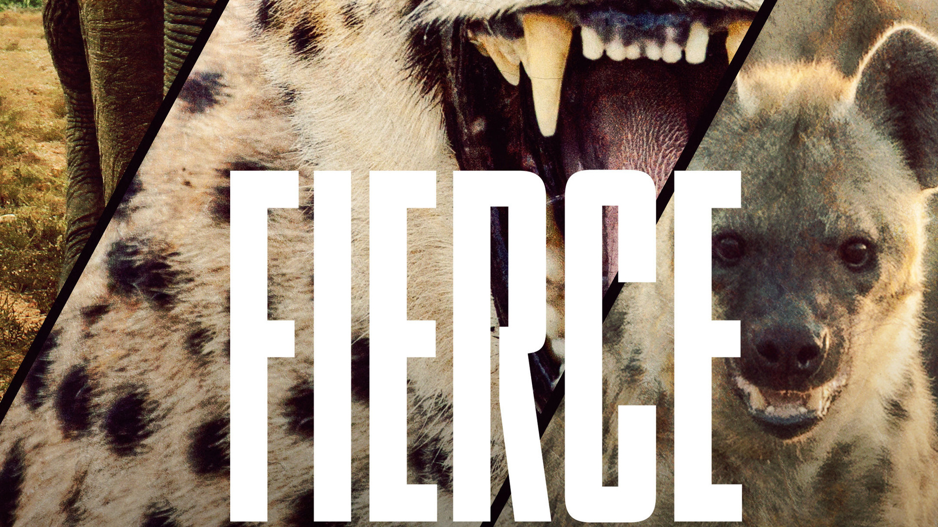 Сериал Свирепые королевы