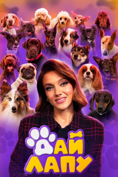 Show Дай лапу