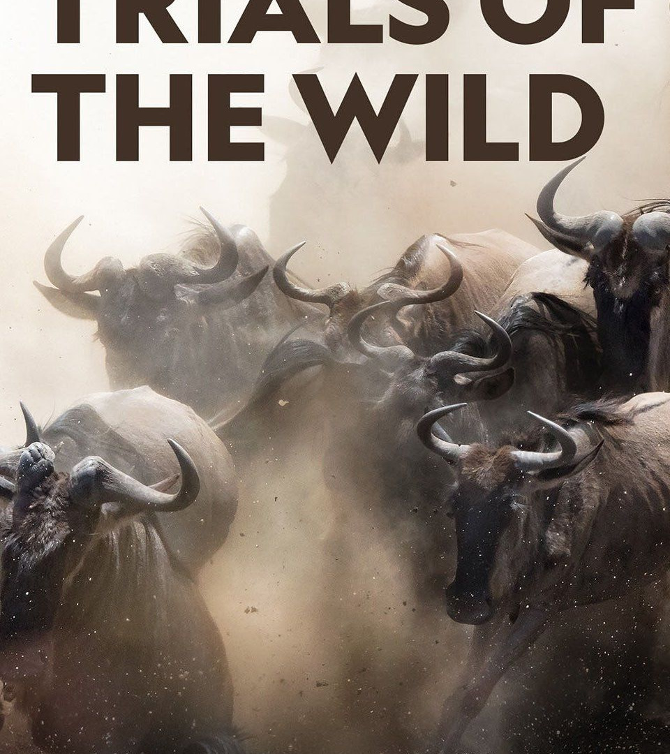 Сериал Trials of the Wild