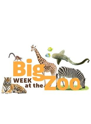 Сериал Big Week at the Zoo