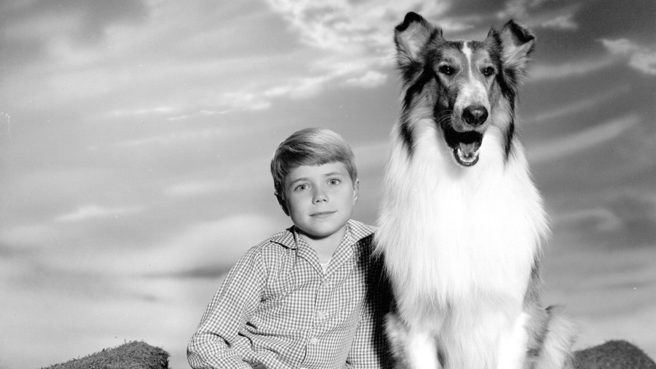 Show Lassie (US)