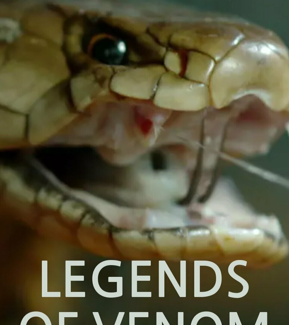 Сериал Legends of Venom