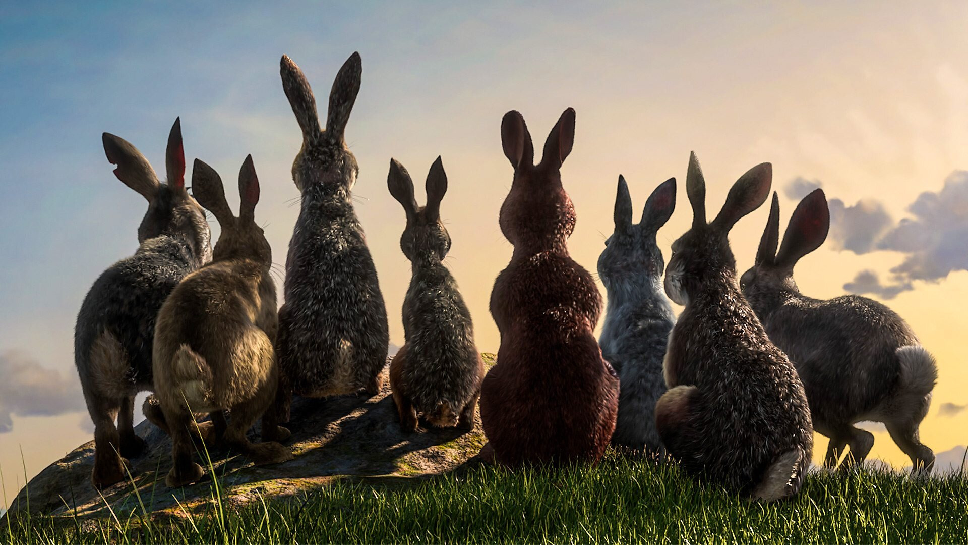 Show Watership Down