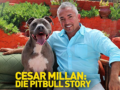 Сериал Cesar Millan: Love My Pit Bull