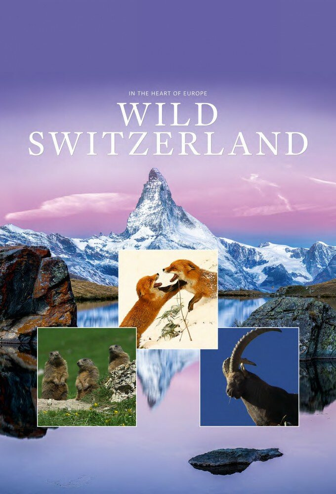 Show Wild Switzerland