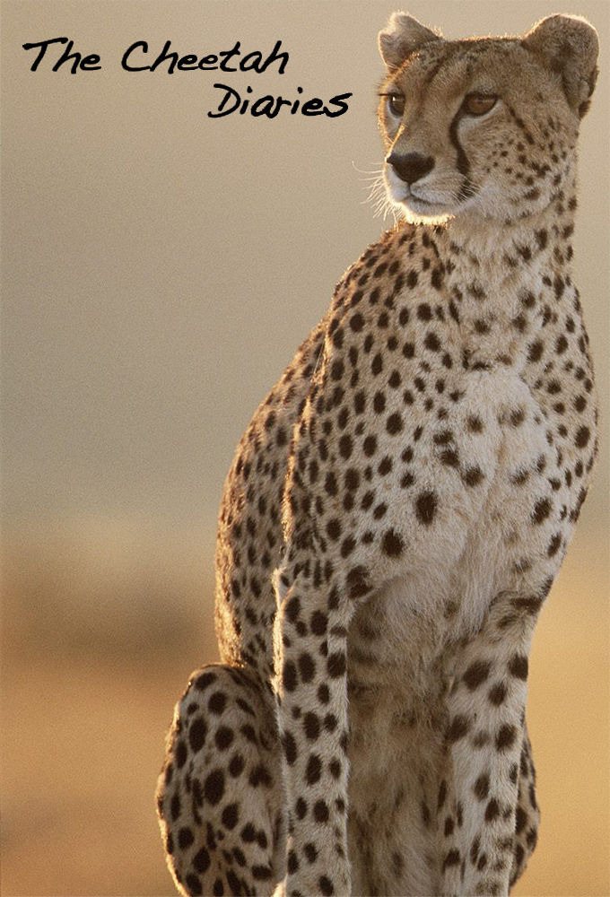 Сериал The Cheetah Diaries