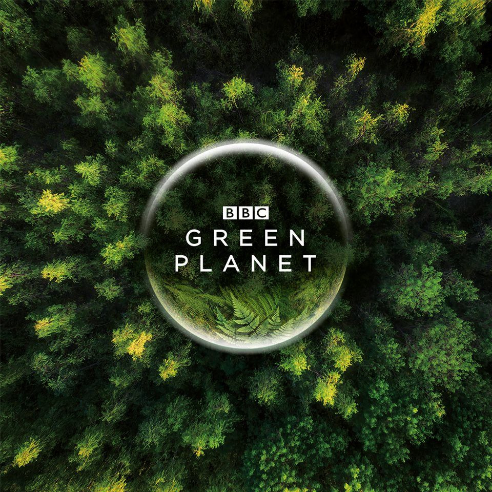 Сериал BBC: Зелёная планета