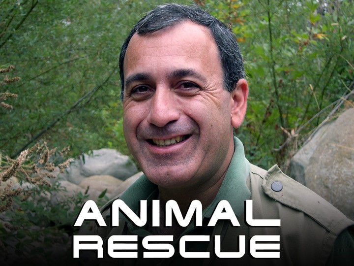 Сериал Animal Rescue