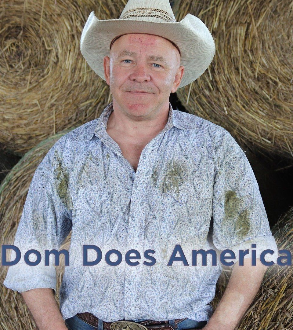 Сериал Dom Does America