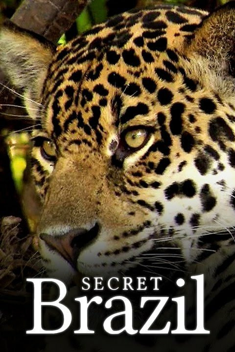 Show Secret Brazil