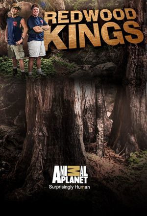 Сериал Redwood Kings