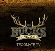 Сериал The Bucks of Tecomate
