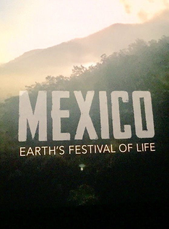 Сериал Mexico: Earth's Festival of Life
