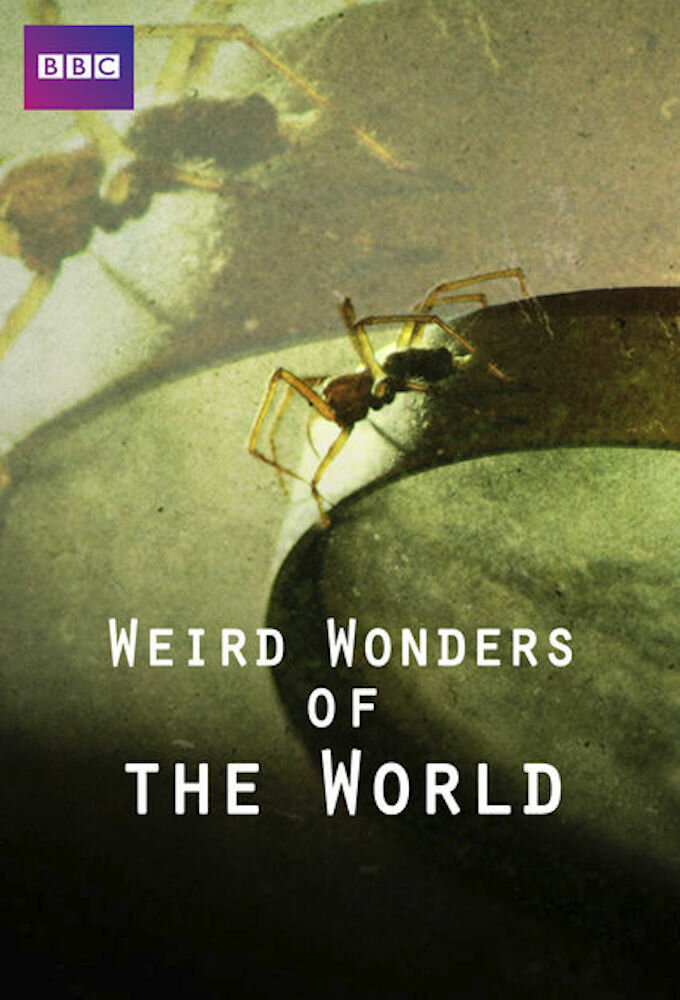 Show Weird Wonders of the World