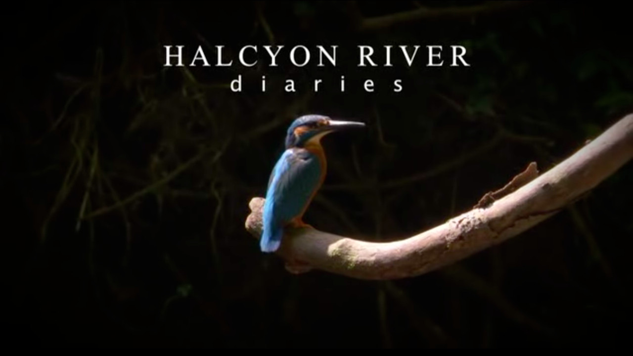 Show Halcyon River Diaries