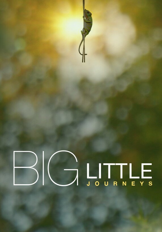 Show Big Little Journeys