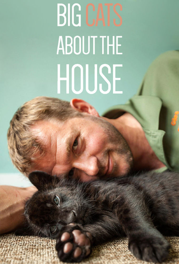 Сериал Big Cats About the House