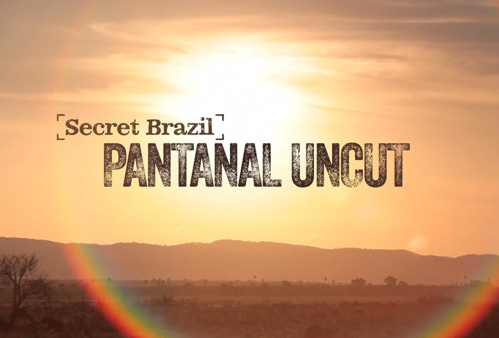 Сериал Secret Brazil