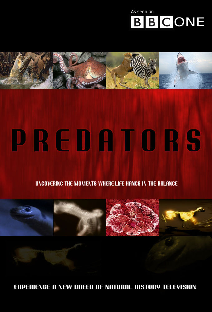 Сериал Predators