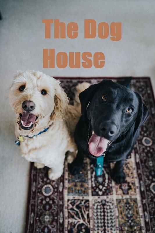 Сериал The Dog House