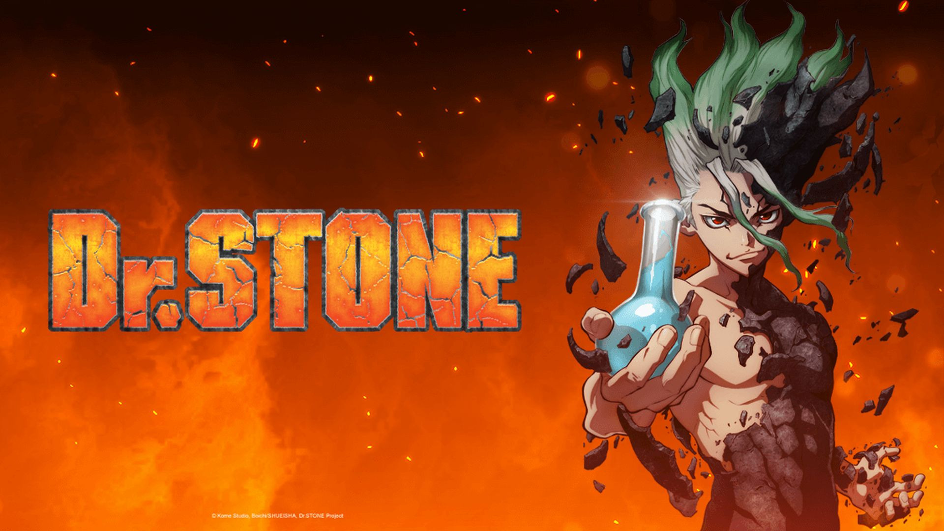 Anime Dr. Stone