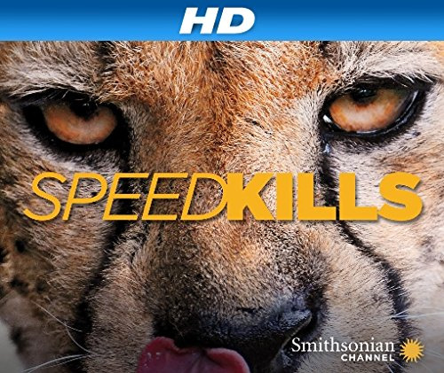 Show Speed Kills