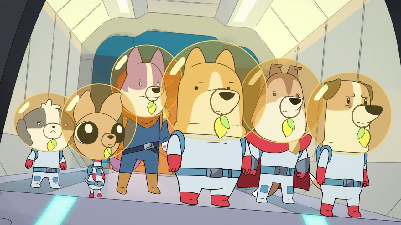Show Dogs in Space