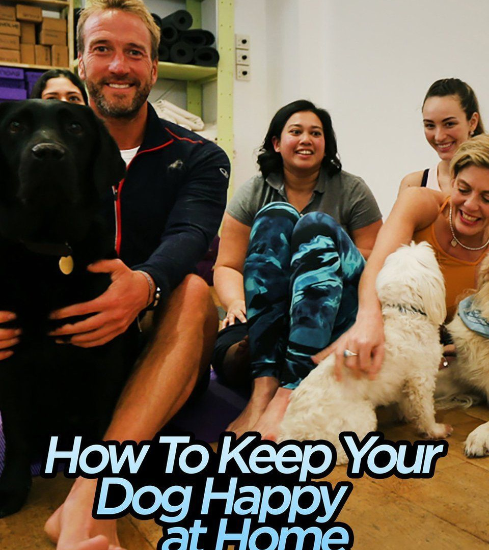 Show How to Keep Your Dog Happy at Home