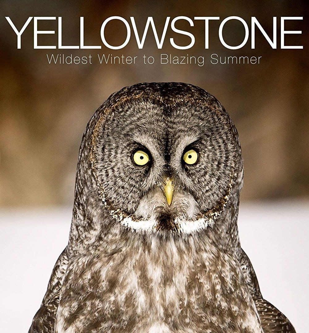 Сериал Yellowstone: Wildest Winter to Blazing Summer