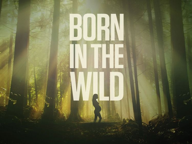 Сериал Born in the Wild