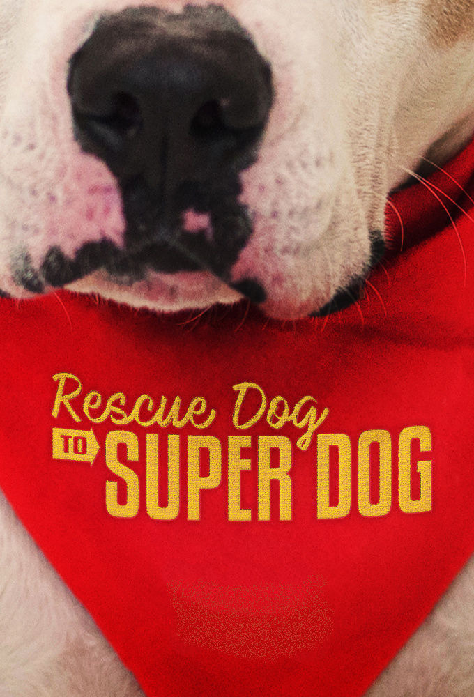 Show Rescue Dog to Super Dog