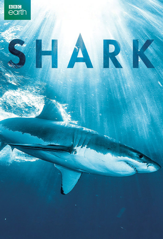 Сериал BBC: Вся правда об акулах