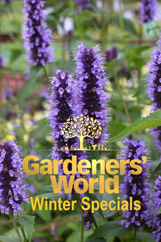 Сериал Gardeners' World Winter Specials
