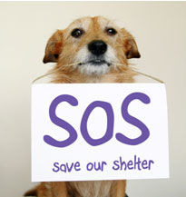 Show Save Our Shelter