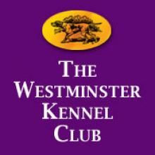 Show Westminster Kennel Club Dog Show