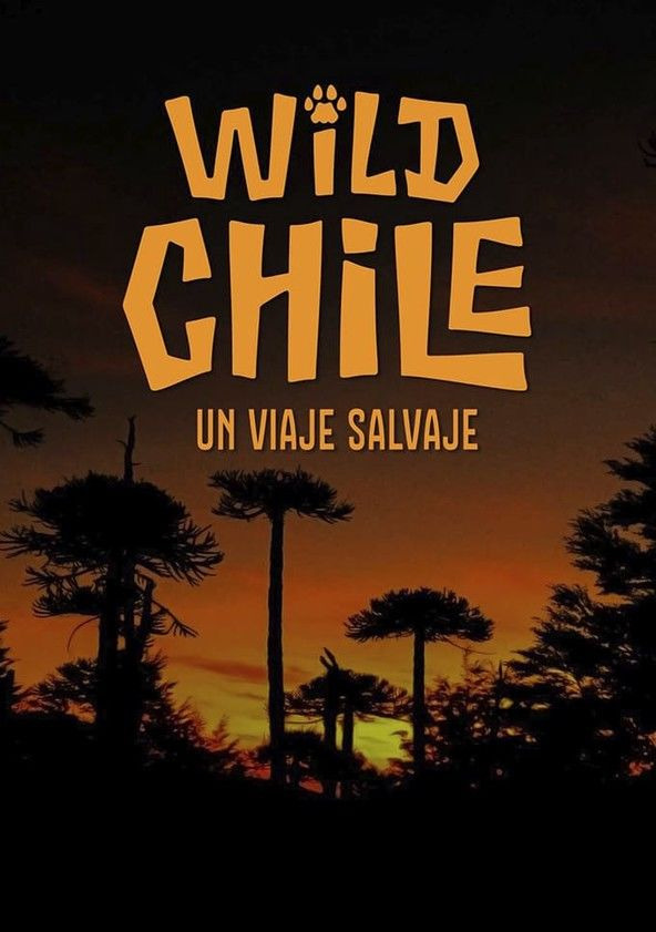 Show Wild Chile: Un Viaje Salvaje