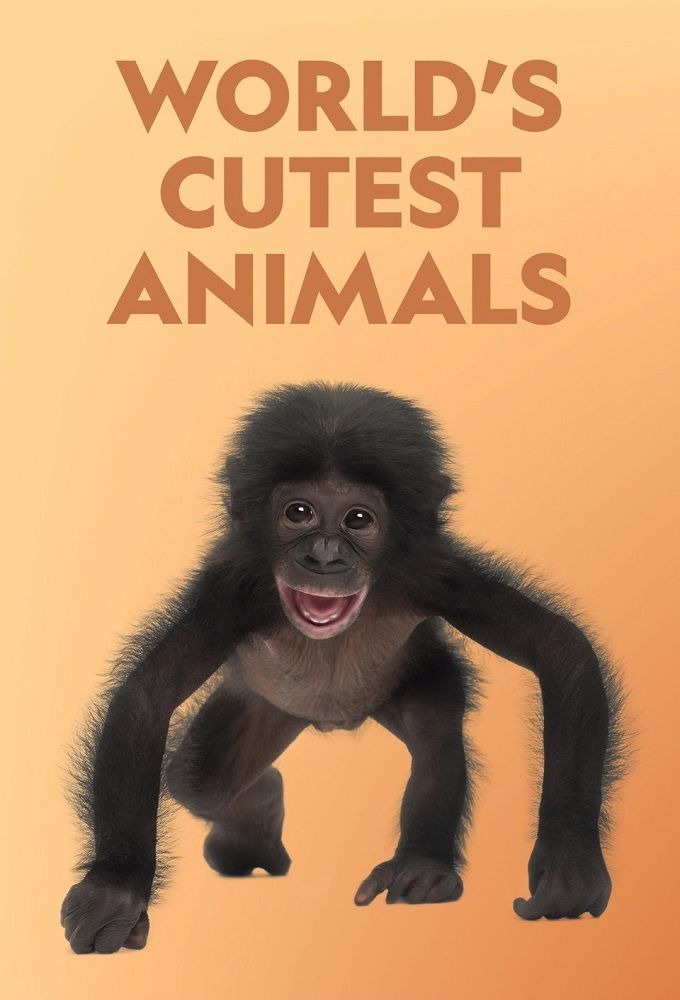 Сериал World's Cutest Animals