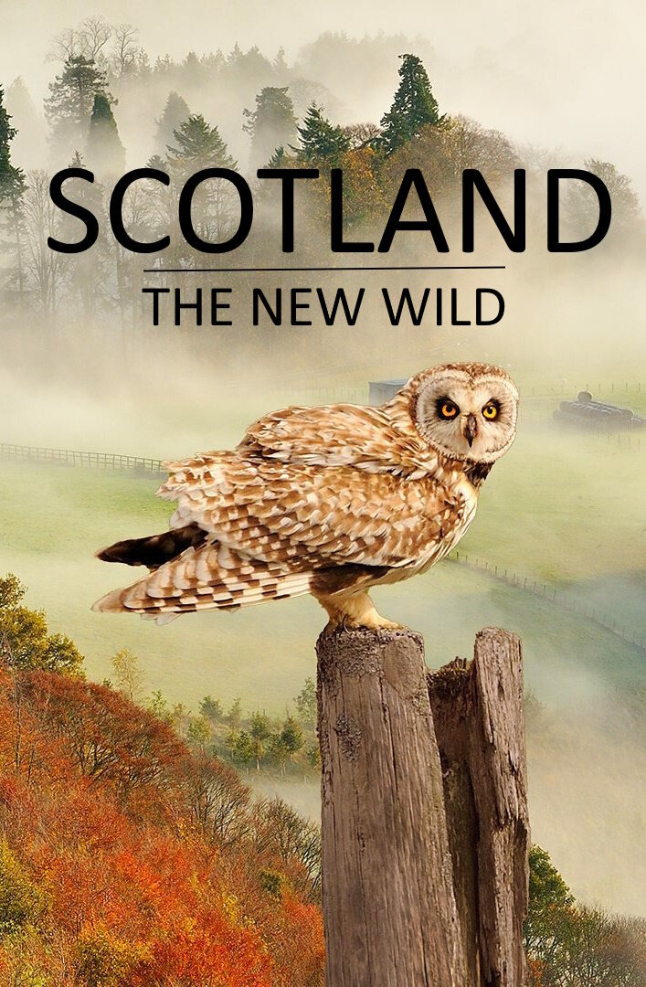 Сериал Scotland - The New Wild
