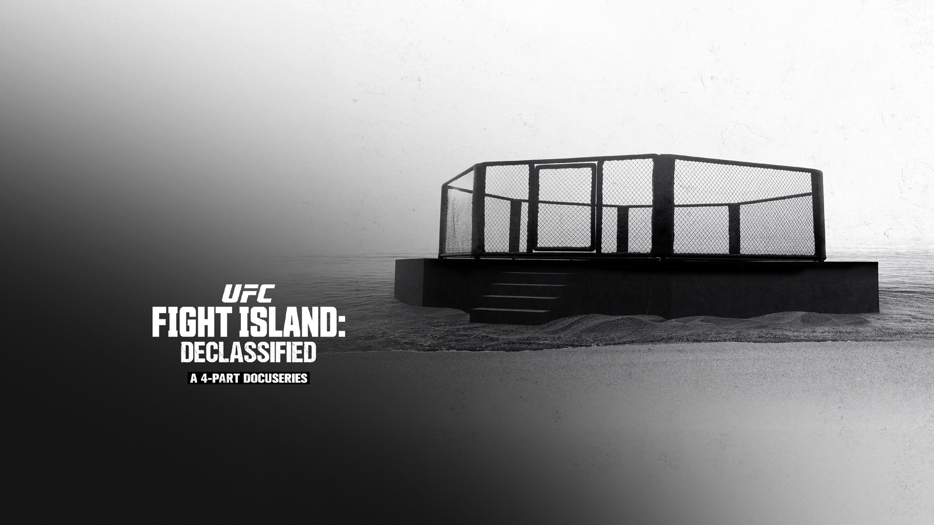 Сериал UFC Бойцовский остров: Рассекречен