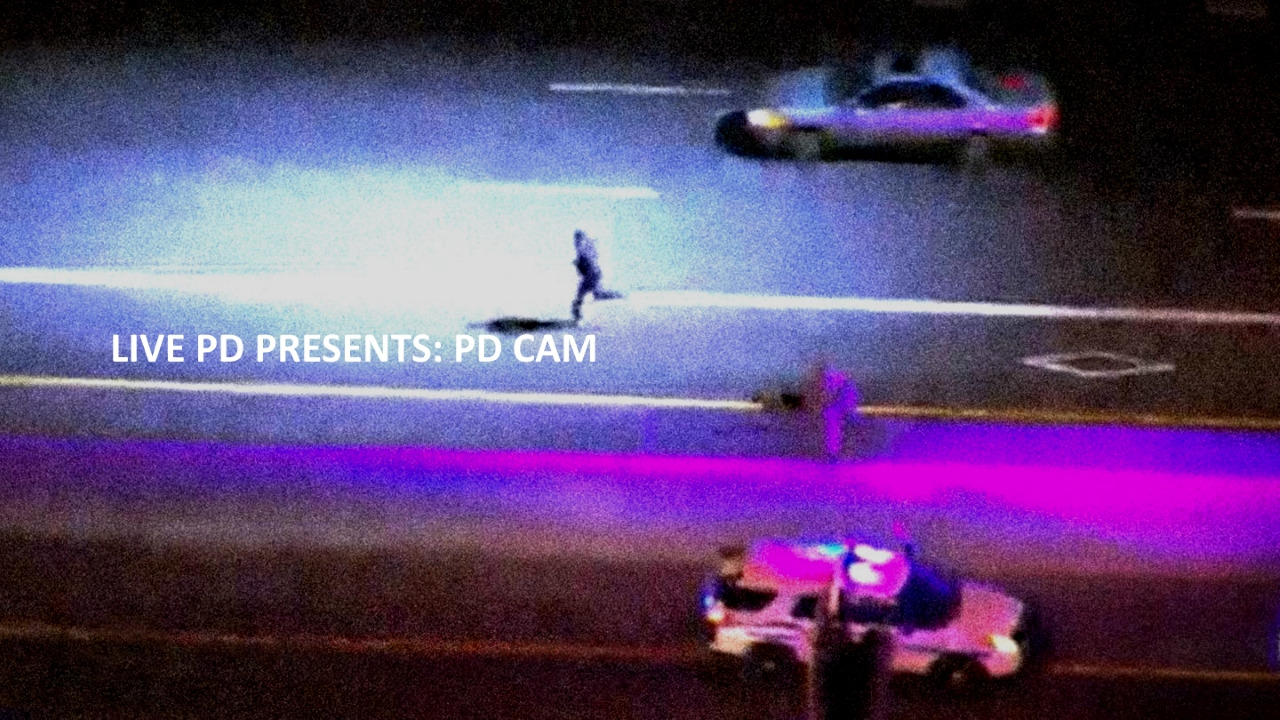 Сериал Live PD Presents: PD Cam