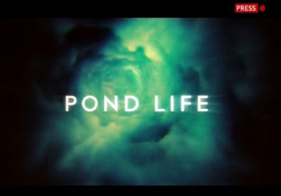 Show Pond Life