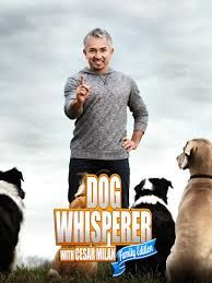 Show Dog Whisperer with Cesar Millan: Family Edition