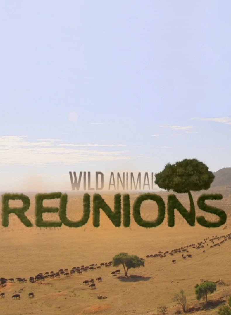 Сериал Wild Animal Reunions
